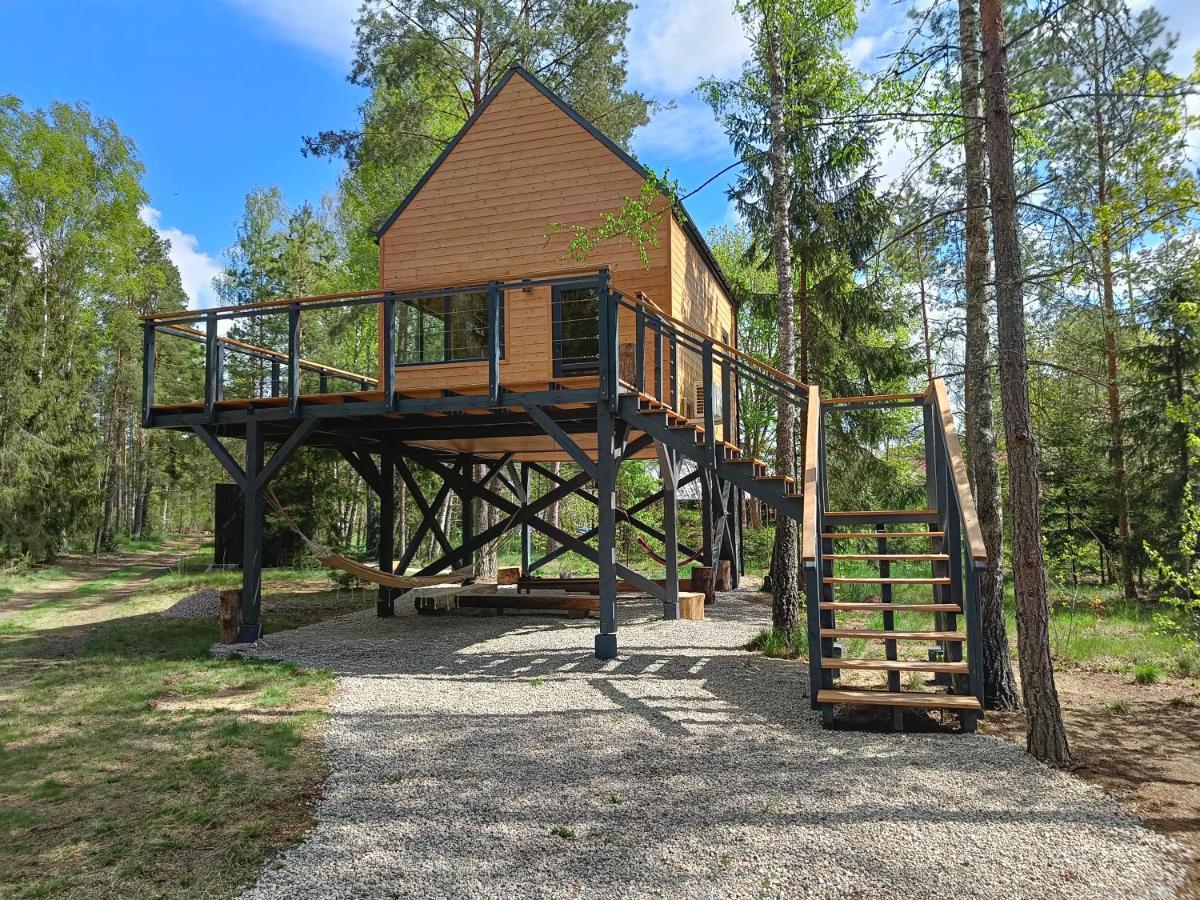 Apartment Zdalnie Z Lasu - Siedlisko W Puszczy Bialowieskiej
