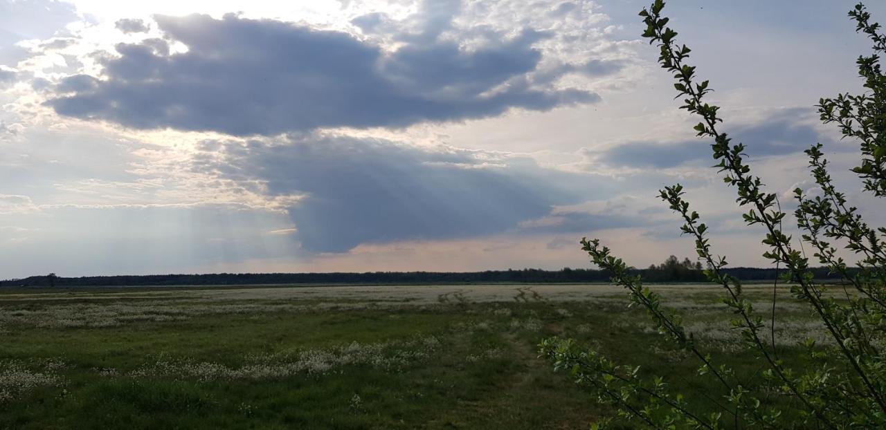 Zdalnie Z Lasu - Siedlisko W Puszczy Bialowieskiej * Narewka