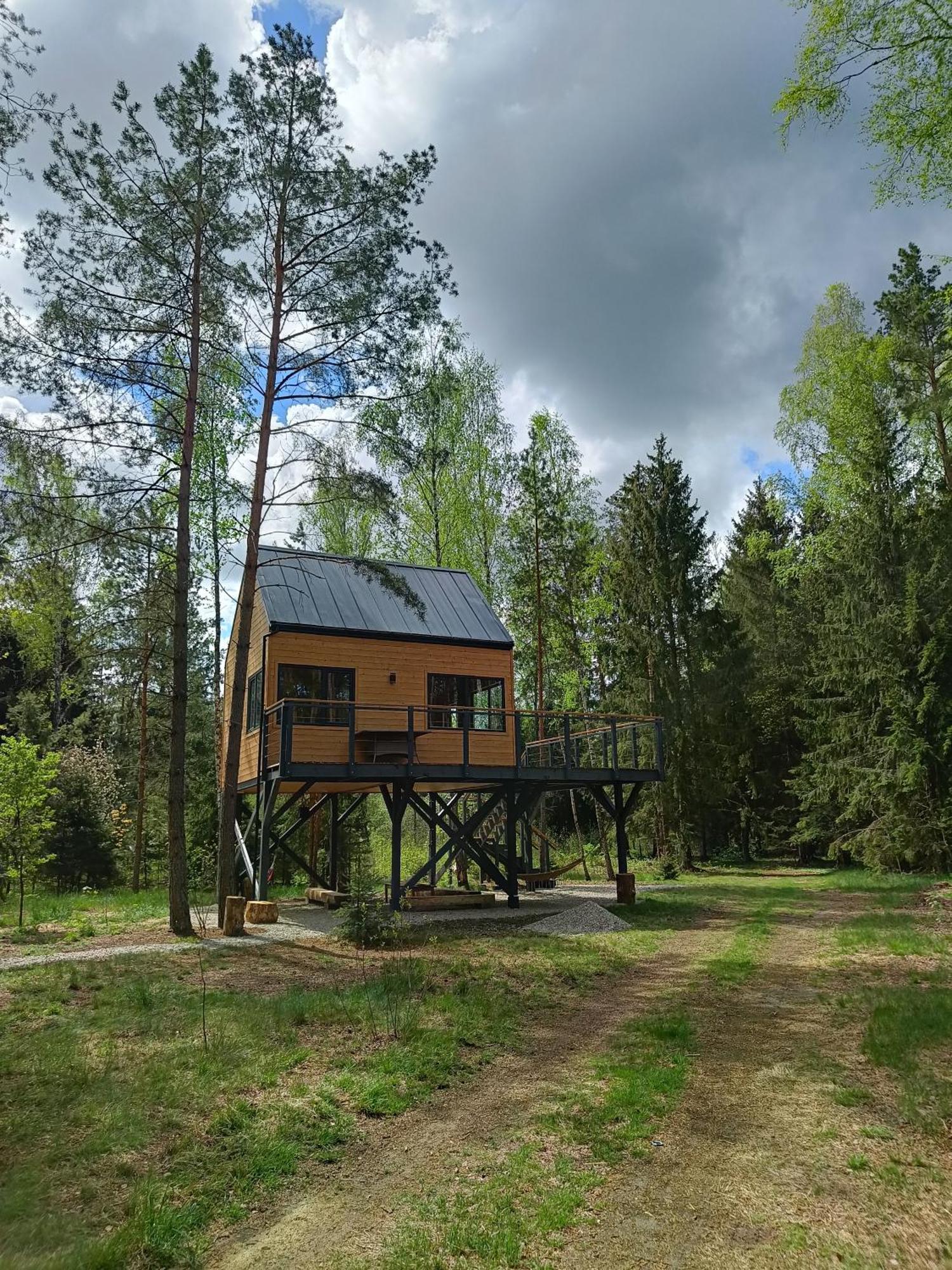 Zdalnie Z Lasu - Siedlisko W Puszczy Bialowieskiej Apartment Narewka