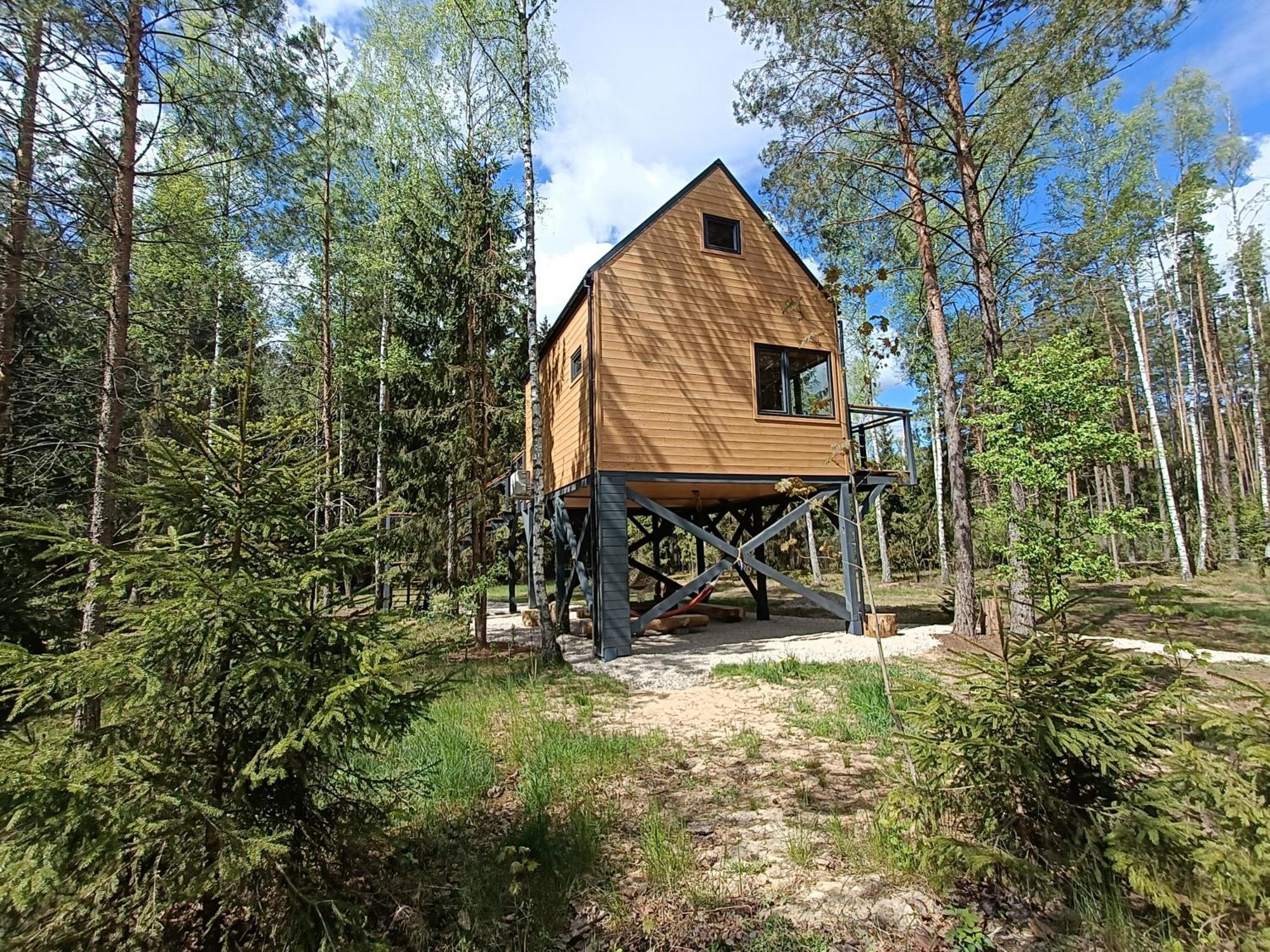 Zdalnie Z Lasu - Siedlisko W Puszczy Bialowieskiej Apartment